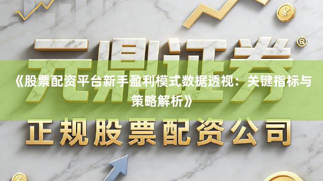 《股票配资平台新手盈利模式数据透视：关键指标与策略解析》