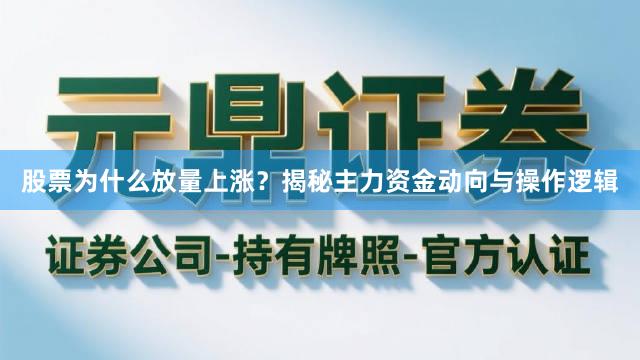 股票为什么放量上涨？揭秘主力资金动向与操作逻辑