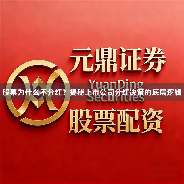 股票为什么不分红？揭秘上市公司分红决策的底层逻辑