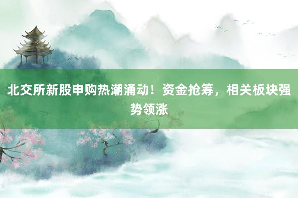 北交所新股申购热潮涌动！资金抢筹，相关板块强势领涨