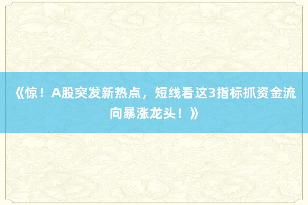 《惊！A股突发新热点，短线看这3指标抓资金流向暴涨龙头！》