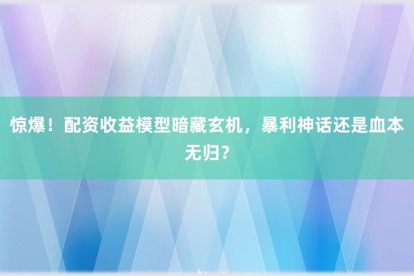 惊爆！配资收益模型暗藏玄机，暴利神话还是血本无归？