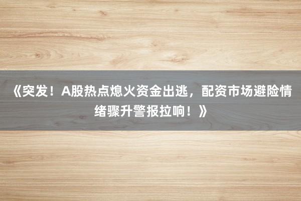 《突发！A股热点熄火资金出逃，配资市场避险情绪骤升警报拉响！》