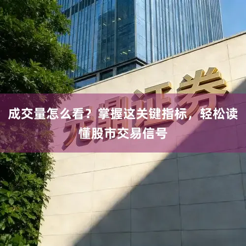 成交量怎么看？掌握这关键指标，轻松读懂股市交易信号
