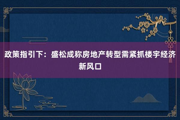 政策指引下：盛松成称房地产转型需紧抓楼宇经济新风口