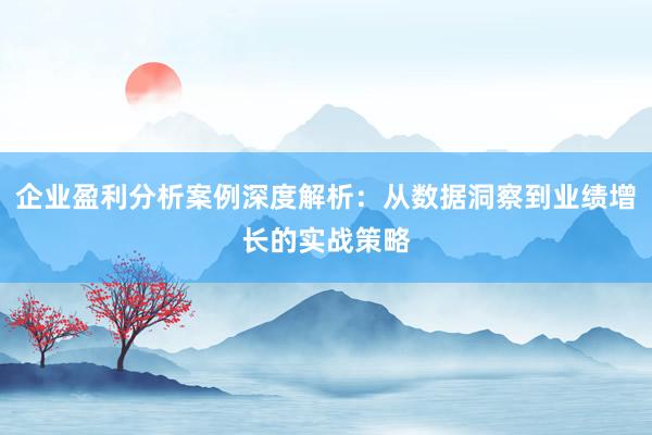 企业盈利分析案例深度解析：从数据洞察到业绩增长的实战策略