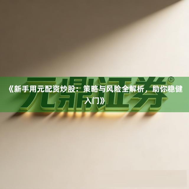 《新手用元配资炒股：策略与风险全解析，助你稳健入门》