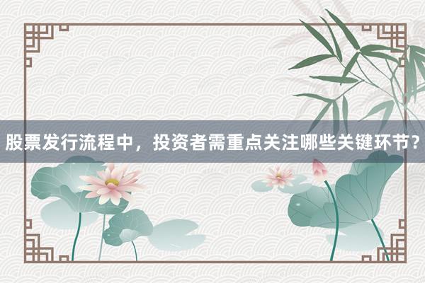 股票发行流程中，投资者需重点关注哪些关键环节？
