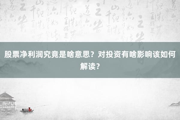 股票净利润究竟是啥意思？对投资有啥影响该如何解读？