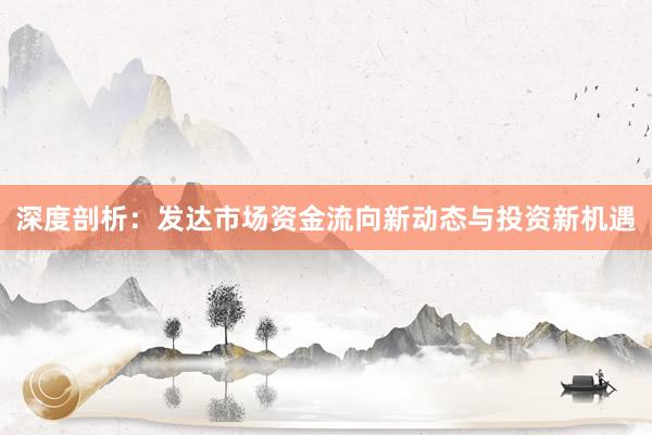 深度剖析：发达市场资金流向新动态与投资新机遇
