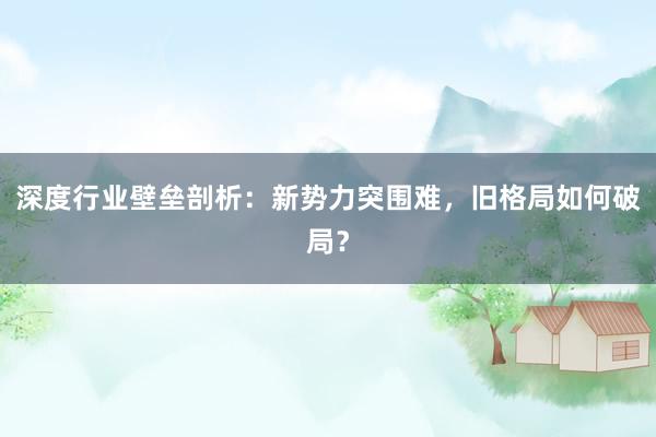 深度行业壁垒剖析：新势力突围难，旧格局如何破局？