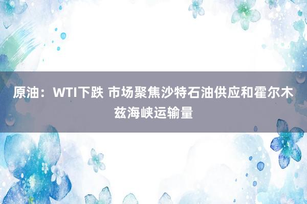 原油：WTI下跌 市场聚焦沙特石油供应和霍尔木兹海峡运输量