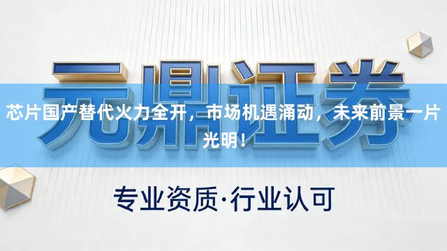 芯片国产替代火力全开，市场机遇涌动，未来前景一片光明！