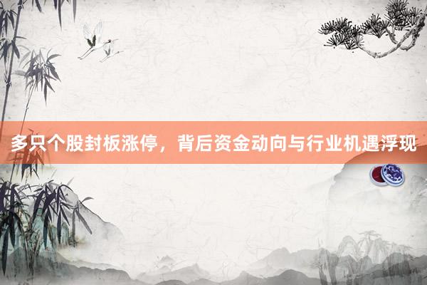 多只个股封板涨停，背后资金动向与行业机遇浮现