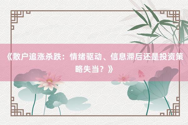 《散户追涨杀跌：情绪驱动、信息滞后还是投资策略失当？》